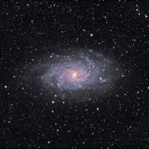 photo of the triangulum galaxy