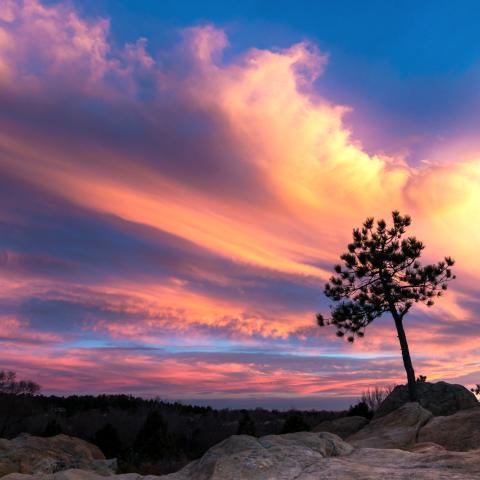 photo of a colorful sunset with a tree in the foreground