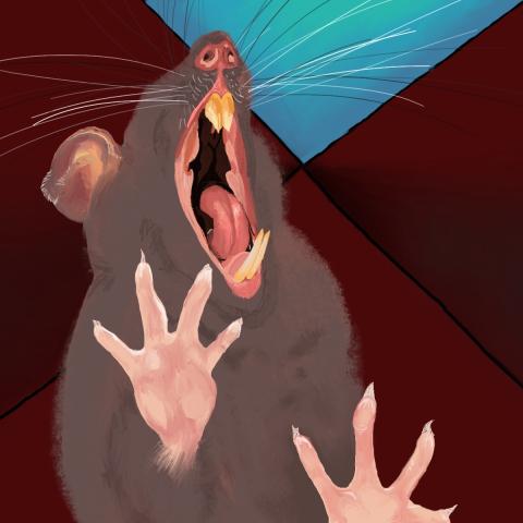 A digital painting of a rat screaming