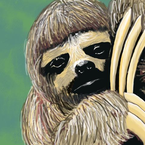 A digital painting of a sloth