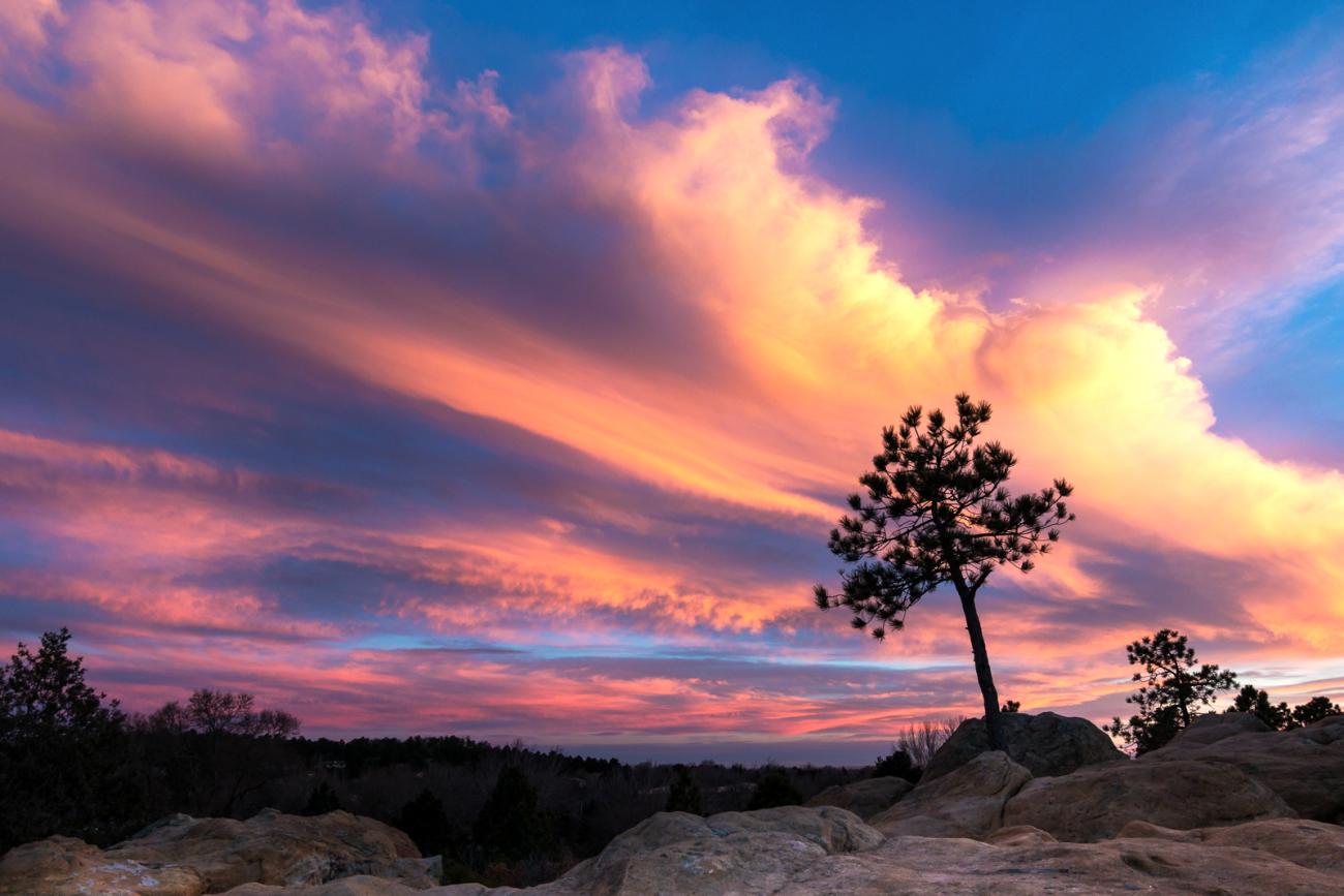 photo of a colorful sunset with a tree in the foreground