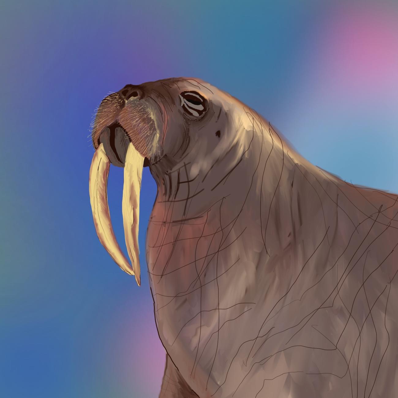 A digital painting of a walrus