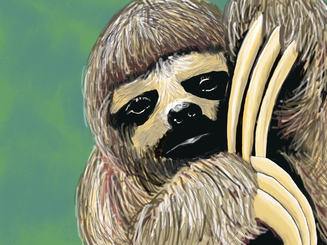 A digital painting of a sloth